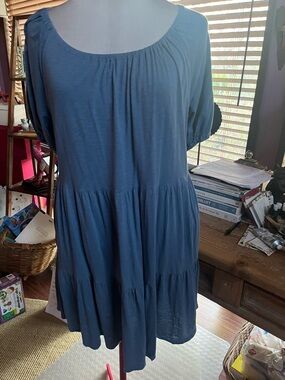 Velvet Women’s Midi Dress in Dusty Blue